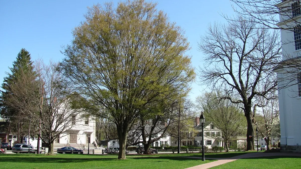 Bedford Common with mature trees and historic buildings in Bedford, MA